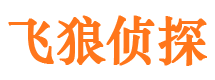 保定外遇调查取证